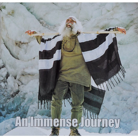 An Immense Journey