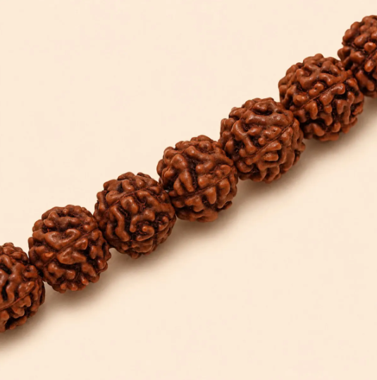 Authentic Isha Panchamukhi (five-faced) Rudraksha Mala. Energized at Dhyanalinga. Your cocoon of energy (5 mm)