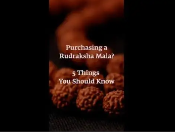 Authentic Isha Panchamukhi (five-faced) Rudraksha Mala. Energized at Dhyanalinga. Your cocoon of energy (5 mm)