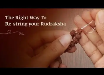 Authentic Isha Panchamukhi (five-faced) Rudraksha Mala. Energized at Dhyanalinga. Your cocoon of energy (5 mm)