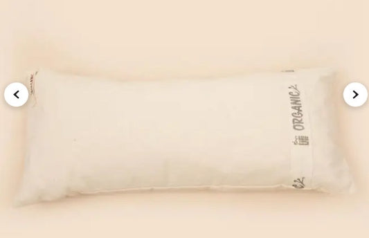 Organic Pranayam Cushion