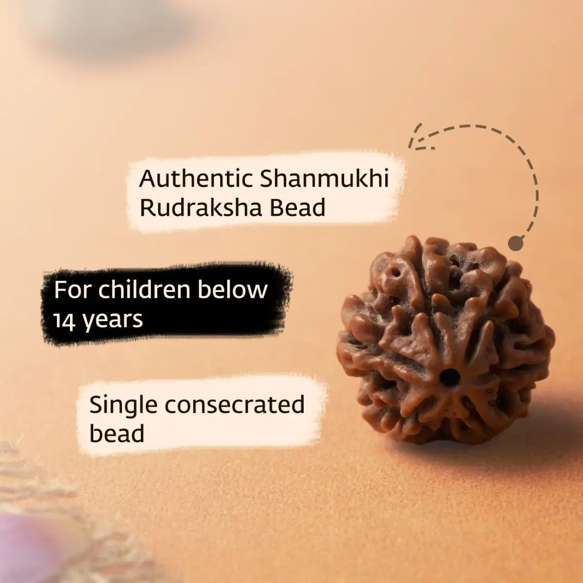Rudraksha Beads Children’s Shanmukhi, 6 Faced