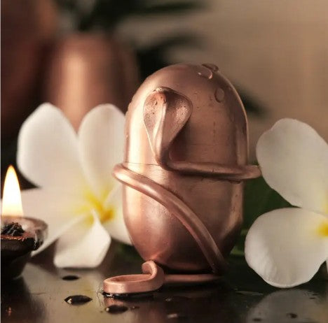 Jeevarasam Consecrate water at home. Unique design. Exclusive Isha Product. To be placed inside copper pots.