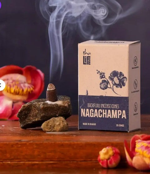 Backflow Refill Incense - Pack of 20 Cones - Nagachampa
