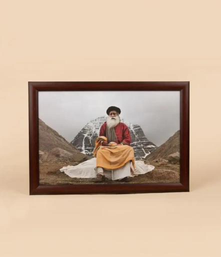 SF803 Sadhguru Photo (8x12)