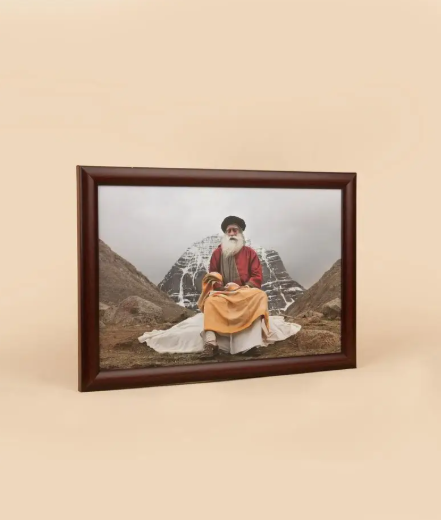 SF803 Sadhguru Photo (8x12)
