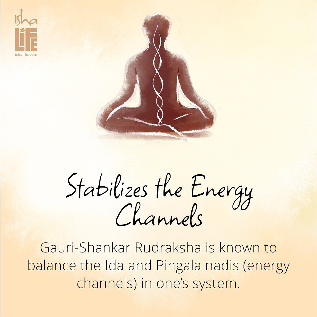 Gauri Shankar Rudraksha Bead