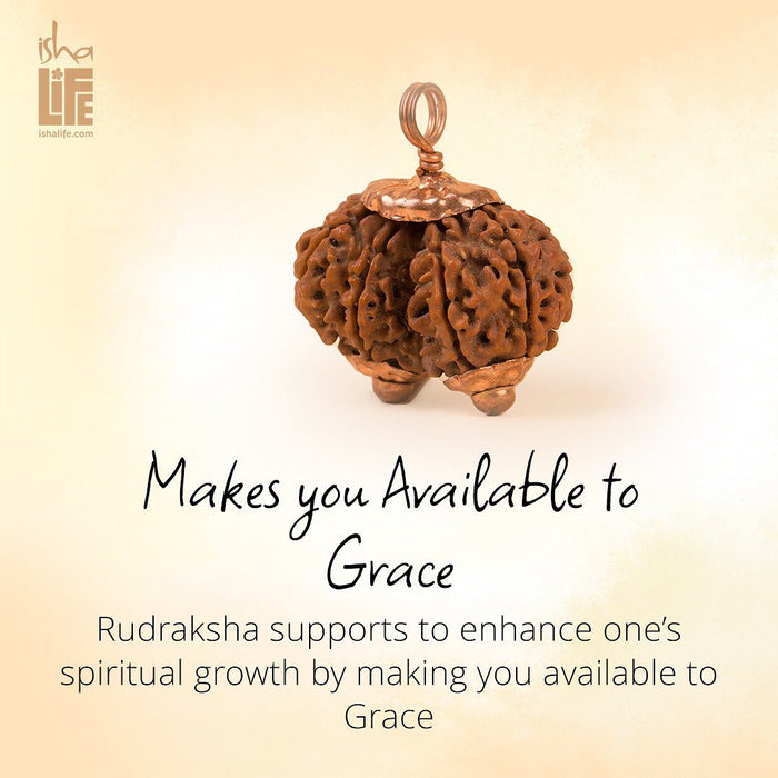 Gauri Shankar Rudraksha Bead