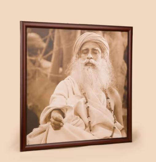 Sadhguru Photo - 20x20 (With Frame)