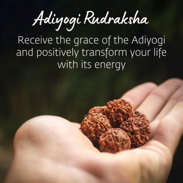 Adiyogi Rudraksha with Copper Chain (5 Faced)