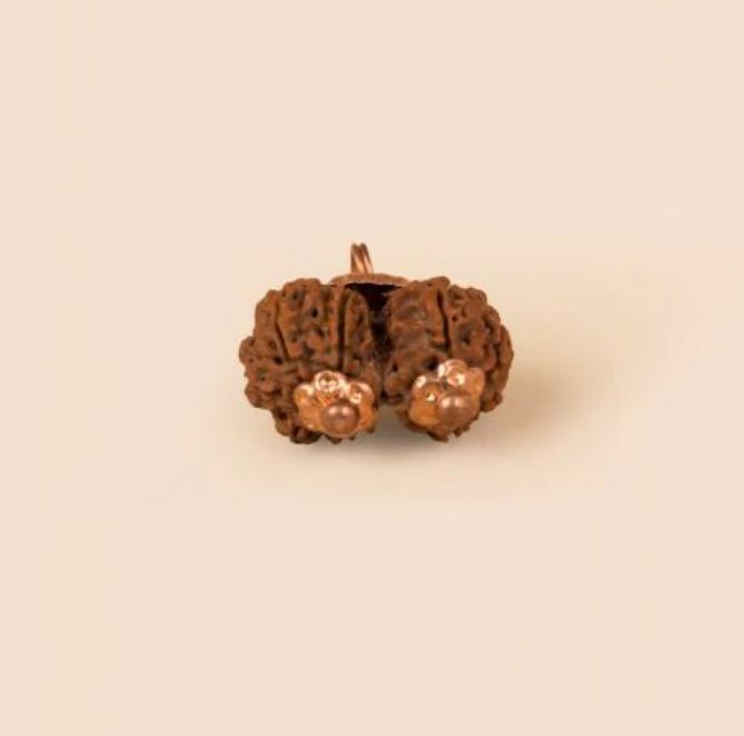 Gauri Shankar Rudraksha Bead