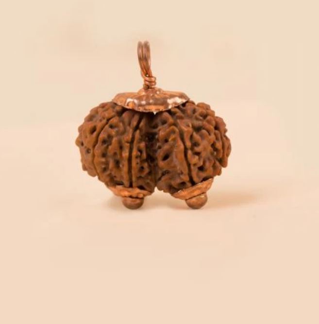 Gauri Shankar Rudraksha Bead