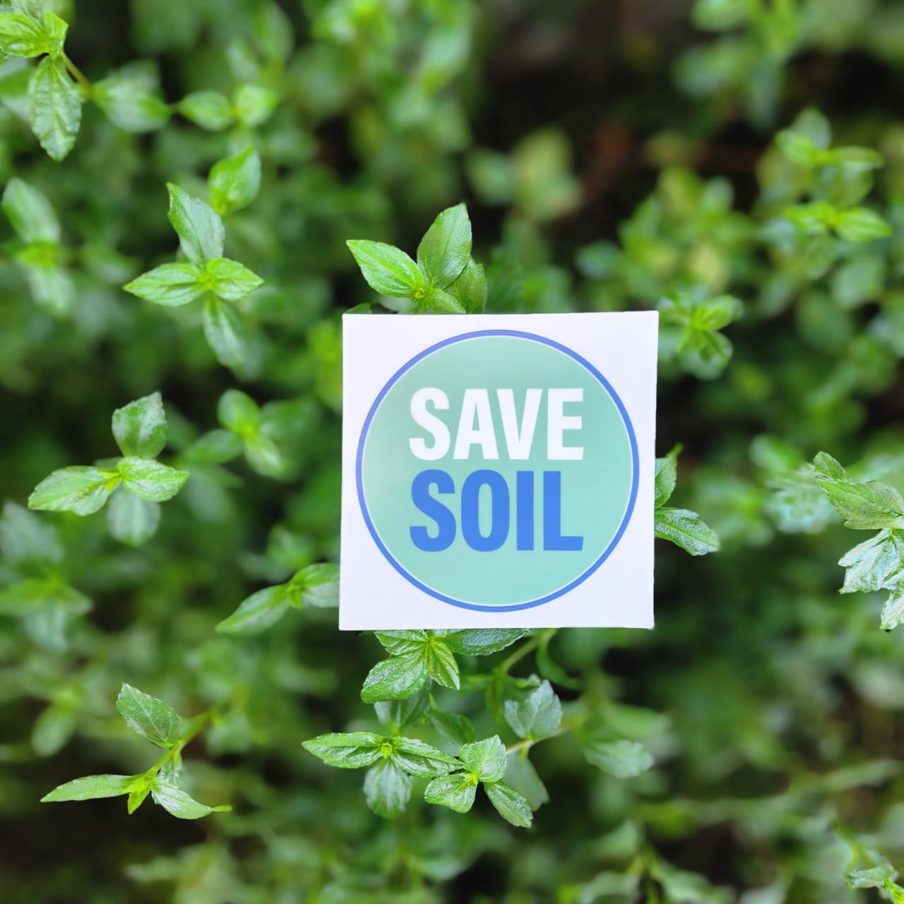 Soil Label Sticker Save Soil Car Sticker (4×4) – Isha Life Malaysia