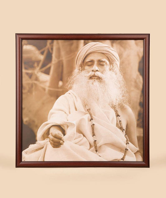 Sadhguru Photo - 20x20 (With Frame)